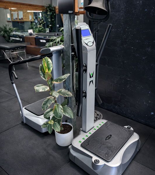 Vibration Platform: The Lymphatic Pump - Primal Recovery Centre